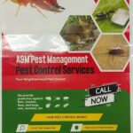 flyers a5 size