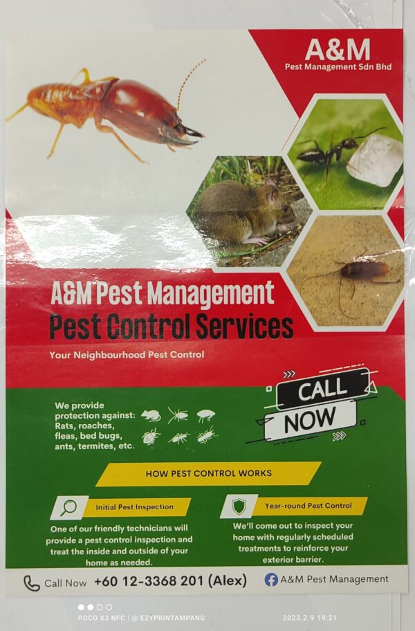 flyers a5 size